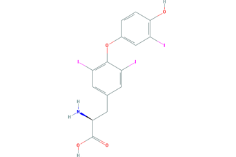 T3 (liothyronine)